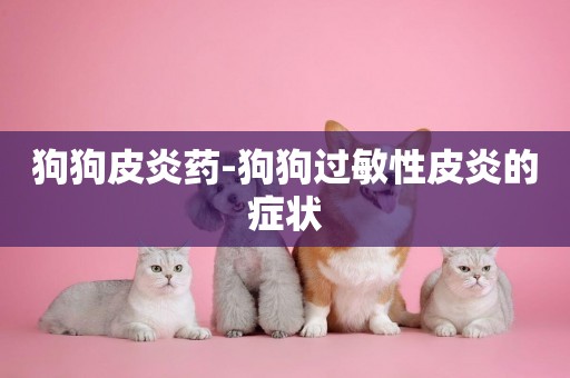 狗狗皮炎藥-狗狗過敏性皮炎的癥狀