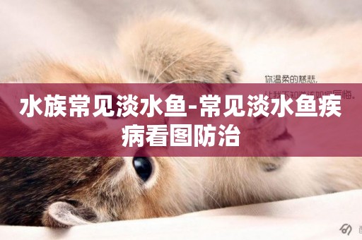 水族常見淡水魚-常見淡水魚疾病看圖防治