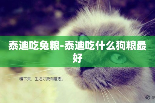 泰迪吃兔糧-泰迪吃什么狗糧最好
