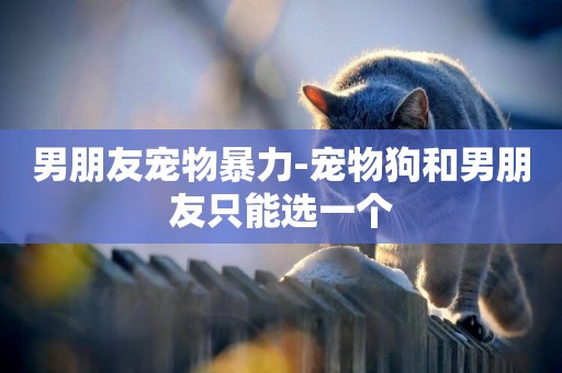 男朋友寵物暴力-寵物狗和男朋友只能選一個