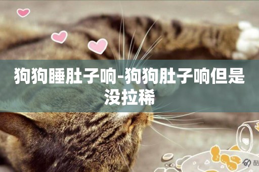 狗狗睡肚子響-狗狗肚子響但是沒拉稀