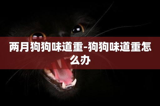 兩月狗狗味道重-狗狗味道重怎么辦