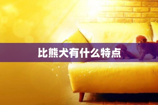 比熊犬有什么特點