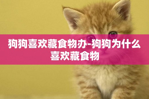 狗狗喜歡藏食物辦-狗狗為什么喜歡藏食物