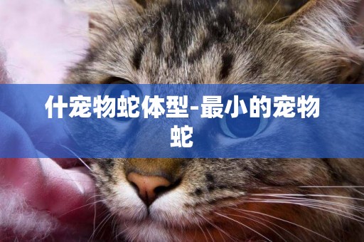 什寵物蛇體型-最小的寵物蛇