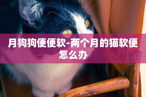 月狗狗便便軟-兩個月的貓軟便怎么辦