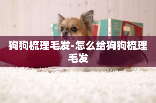 狗狗梳理毛發-怎么給狗狗梳理毛發