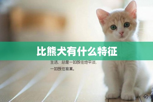 比熊犬有什么特征