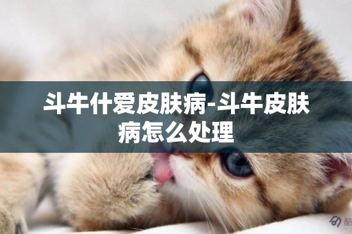 斗牛什愛皮膚病-斗牛皮膚病怎么處理