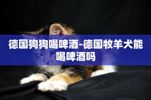 德國狗狗喝啤酒-德國牧羊犬能喝啤酒嗎