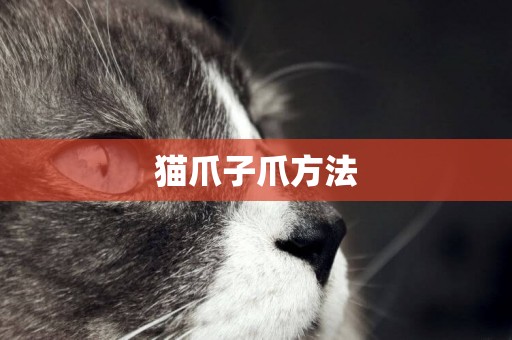 貓爪子爪方法