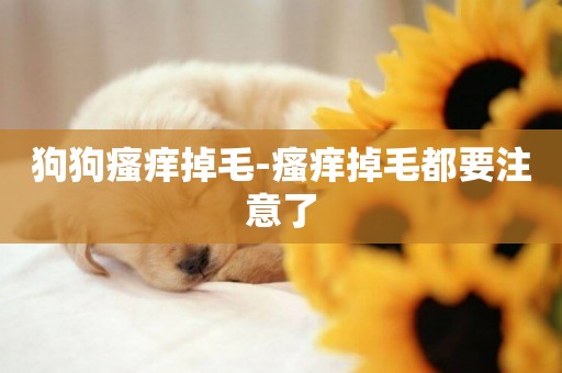 狗狗瘙癢掉毛-瘙癢掉毛都要注意了
