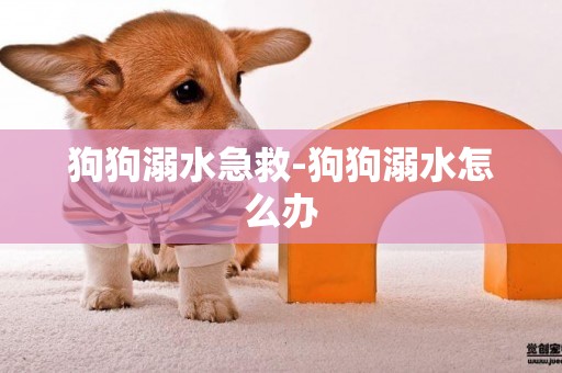 狗狗溺水急救-狗狗溺水怎么辦