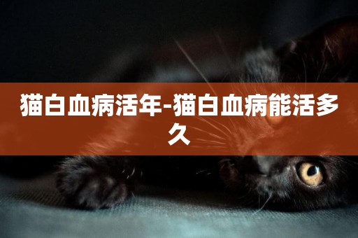 貓白血病活年-貓白血病能活多久