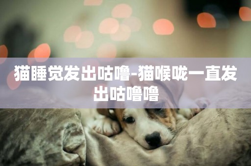 貓睡覺發出咕嚕-貓喉嚨一直發出咕嚕嚕