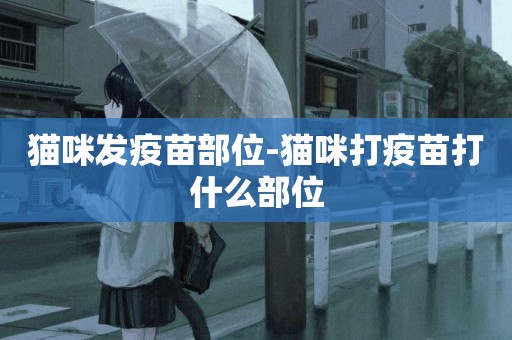 貓咪發疫苗部位-貓咪打疫苗打什么部位