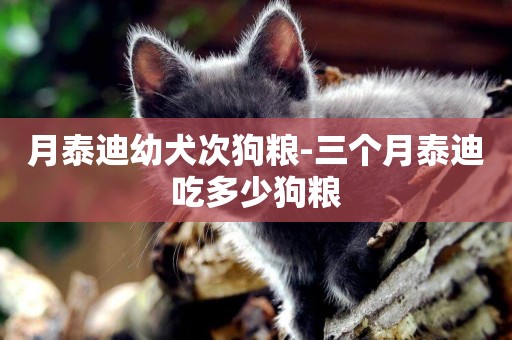 月泰迪幼犬次狗糧-三個月泰迪吃多少狗糧