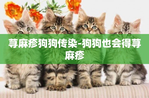 蕁麻疹狗狗傳染-狗狗也會得蕁麻疹
