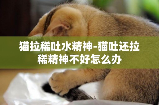 貓拉稀吐水精神-貓吐還拉稀精神不好怎么辦