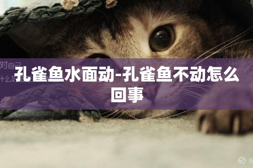孔雀魚水面動-孔雀魚不動怎么回事