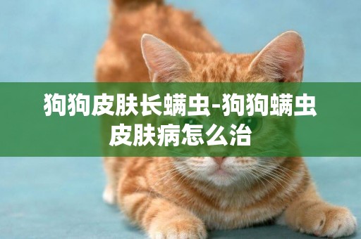 狗狗皮膚長螨蟲-狗狗螨蟲皮膚病怎么治