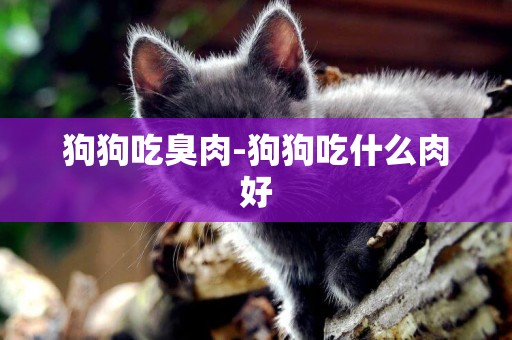 狗狗吃臭肉-狗狗吃什么肉好