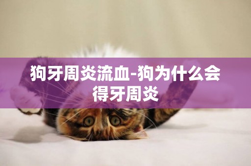 狗牙周炎流血-狗為什么會得牙周炎