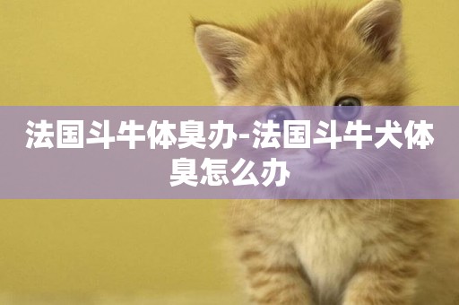 法國斗牛體臭辦-法國斗牛犬體臭怎么辦