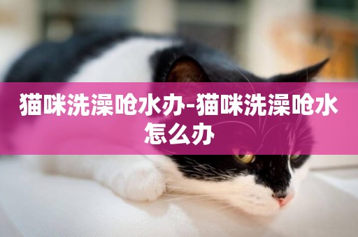貓咪洗澡嗆水辦-貓咪洗澡嗆水怎么辦