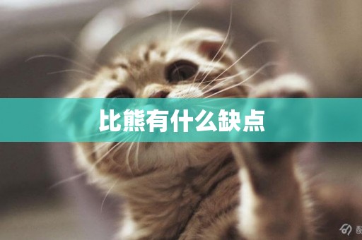 比熊有什么缺點