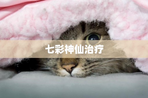 七彩神仙治療