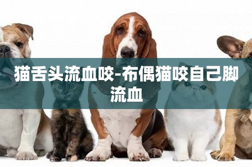 貓舌頭流血咬-布偶貓咬自己腳流血