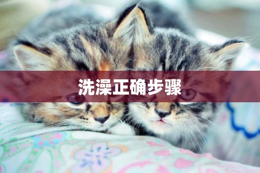 洗澡正確步驟
