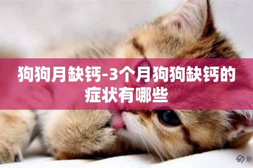 狗狗月缺鈣-3個月狗狗缺鈣的癥狀有哪些