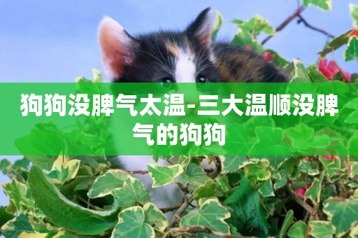 狗狗沒脾氣太溫-三大溫順沒脾氣的狗狗