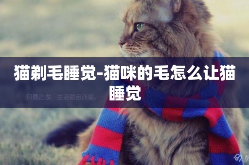 貓剃毛睡覺-貓咪的毛怎么讓貓睡覺
