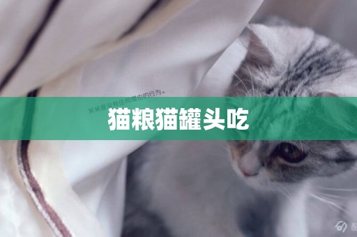 貓糧貓罐頭吃