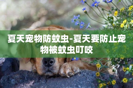 夏天寵物防蚊蟲-夏天要防止寵物被蚊蟲叮咬