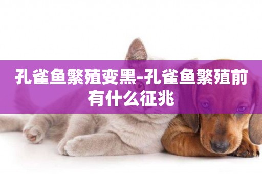 孔雀魚繁殖變黑-孔雀魚繁殖前有什么征兆