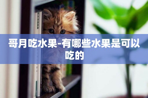 哥月吃水果-有哪些水果是可以吃的