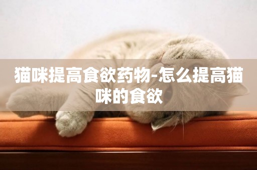 貓咪提高食欲藥物-怎么提高貓咪的食欲