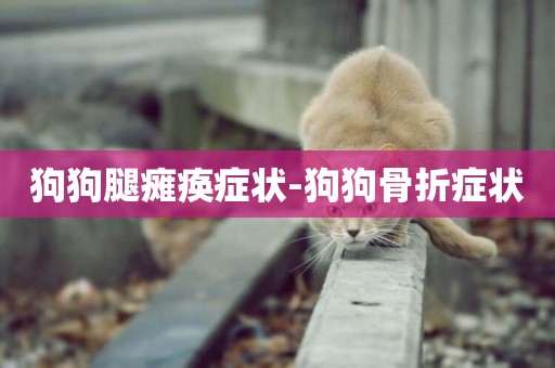 狗狗腿癱瘓癥狀-狗狗骨折癥狀