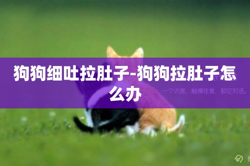 狗狗細吐拉肚子-狗狗拉肚子怎么辦