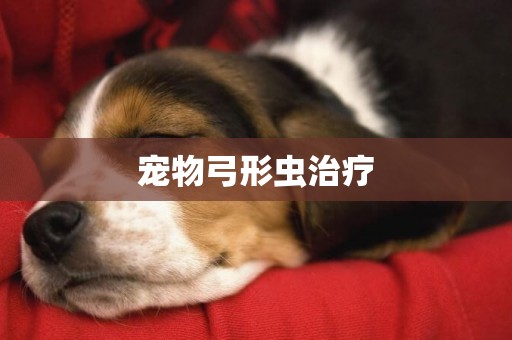 寵物弓形蟲治療