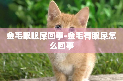 金毛眼眼屎回事-金毛有眼屎怎么回事
