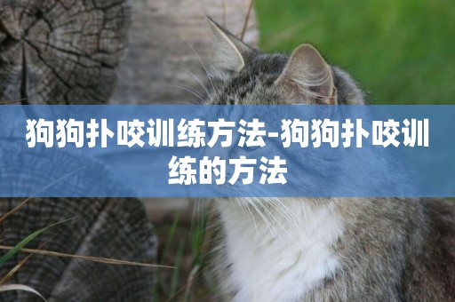 狗狗撲咬訓練方法-狗狗撲咬訓練的方法