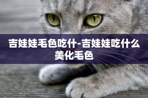 吉娃娃毛色吃什-吉娃娃吃什么美化毛色
