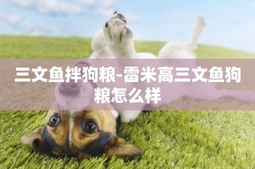 三文魚拌狗糧-雷米高三文魚狗糧怎么樣