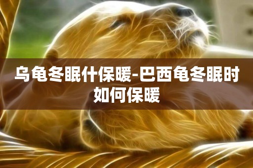 烏龜冬眠什保暖-巴西龜冬眠時如何保暖