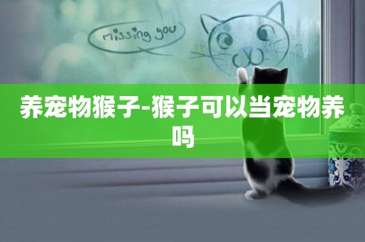 養寵物猴子-猴子可以當寵物養嗎